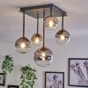 Chehalis Ceiling Light - glass 10 cm, 12 cm, 15 cm gold, black, 5-light sources