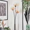 Bernado Floor Lamp - glass 15 cm Amber, clear, 3-light sources