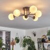 Chehalis Ceiling Light - glass 10 cm white, 6-light sources