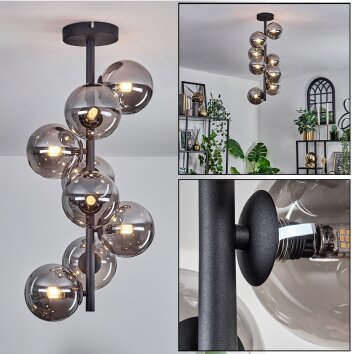 Chehalis Ceiling Light - glass 12 cm Smoke-coloured, 8-light sources