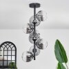 Chehalis Ceiling Light - glass 12 cm clear, Smoke-coloured, 8-light sources