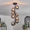 Chehalis Ceiling Light - glass 12 cm clear, Smoke-coloured, 8-light sources