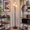 Bernado Floor Lamp - glass 10 cm white, 5-light sources