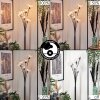 Bernado Floor Lamp - glass 12 cm clear, 6-light sources