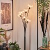 Bernado Floor Lamp - glass 12 cm clear, 6-light sources