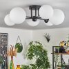 Chehalis Ceiling Light - glass 12 cm, 15 cm white, 6-light sources