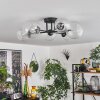 Chehalis Ceiling Light - glass 12 cm, 15 cm clear, 6-light sources