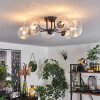 Chehalis Ceiling Light - glass 12 cm, 15 cm clear, 6-light sources