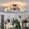 Chehalis Ceiling Light - glass 12 cm, 15 cm clear, 6-light sources