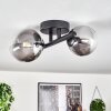 Chehalis Ceiling Light - glass 10 cm, 12 cm black, 2-light sources