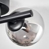 Chehalis Ceiling Light - glass 10 cm, 12 cm black, 2-light sources