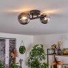 Chehalis Ceiling Light - glass 10 cm, 12 cm black, 2-light sources