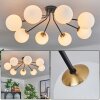 Chehalis Ceiling Light - glass 15 cm gold, black, 8-light sources