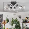 Chehalis Ceiling Light - glass 12 cm, 15 cm clear, 6-light sources