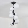 Chehalis Ceiling Light - glass 10 cm, 12 cm, 15 cm white, 8-light sources