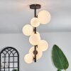 Chehalis Ceiling Light - glass 10 cm, 12 cm, 15 cm white, 8-light sources