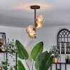 Chehalis Ceiling Light - glass 10 cm,12 cm Amber, 4-light sources