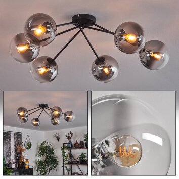 Gastor Ceiling Light - glass 15 cm clear, Smoke-coloured, 6-light sources