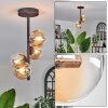 Chehalis Ceiling Light - glass 10 cm Amber, clear, 4-light sources