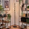 Remaisnil Floor Lamp - glass 10 cm, 12 cm clear, 5-light sources