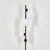 Remaisnil Floor Lamp - glass 10 cm, 12 cm, 15 cm white, 6-light sources