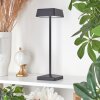 Algeraz Table lamp LED black, 1-light source