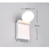 Trio ADOUR Wall Light LED white, 1-light source