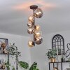 Chehalis Ceiling Light - glass 10 cm, 12cm, 15cm Amber, clear, Smoke-coloured, 8-light sources