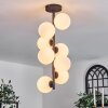 Chehalis Ceiling Light - glass 12 cm white, 8-light sources