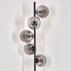 Gastor Floor Lamp - glass 15 cm black, 5-light sources