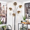 Koyoto Floor Lamp - glass 15 cm gold, clear, 5-light sources