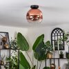 Ripoll Ceiling Light - glass 25 cm clear, coppery, 1-light source