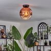 Ripoll Ceiling Light - glass 25 cm clear, coppery, 1-light source