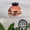 Ripoll Ceiling Light - glass 25 cm clear, coppery, 1-light source