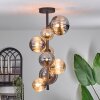 Chehalis Ceiling Light - glass 10 cm, 12cm, 15cm Amber, Smoke-coloured, 8-light sources