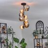 Chehalis Ceiling Light - glass 10 cm, 12cm, 15cm Amber, Smoke-coloured, 8-light sources