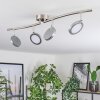 Sarnadinha ceiling light LED matt nickel, 4-light sources