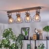 Bitterroot ceiling light grey, Ecru, 4-light sources