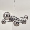 Chariton hanging light black, 6-light sources