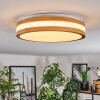 Sofo ceiling light LED white, 1-light source