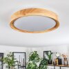 Sofo ceiling light LED white, 1-light source