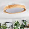 Sofo ceiling light LED white, 1-light source