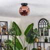 Ripoll ceiling light coppery, 1-light source