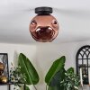 Ripoll ceiling light coppery, 1-light source