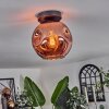 Ripoll ceiling light coppery, 1-light source