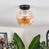 Ripoll ceiling light Amber, 1-light source