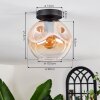 Ripoll ceiling light Amber, clear, 1-light source