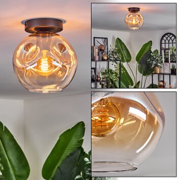 Ripoll ceiling light Amber, clear, 1-light source