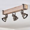 Pehefito ceiling light grey, green, Ecru, 3-light sources