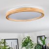 Sofo ceiling light LED white, 1-light source, Remote control